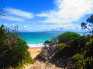 hazards-beach-tasmania