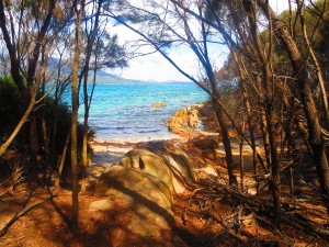 hazards-beach-tasmania2