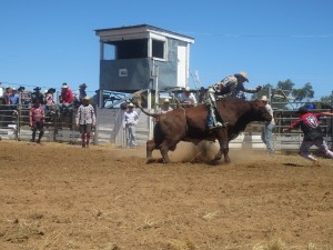 rodeo-ross-tasmanie